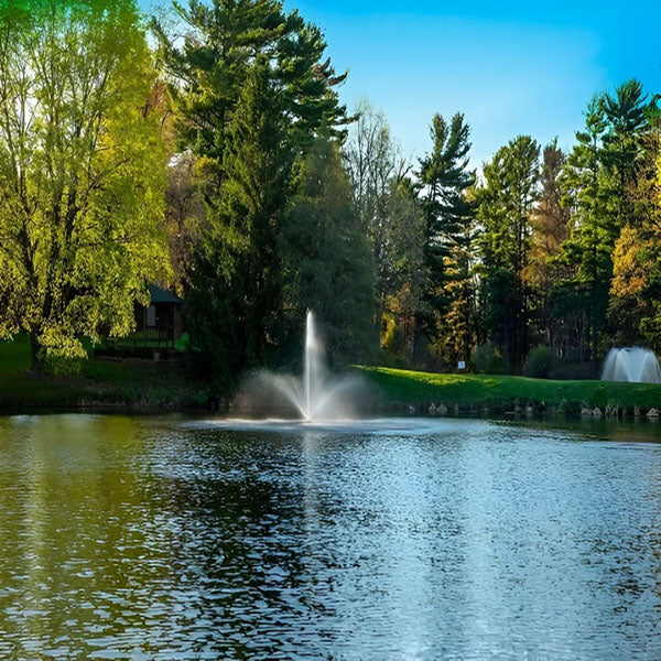 Scott Aerator Baystone Fountain 3 Hp 230v 150 Ft 10-3