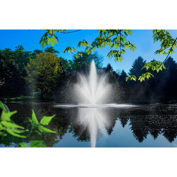 Scott Aerator Cambridge Fountain 1 Hp 115v 100 Ft 10-2