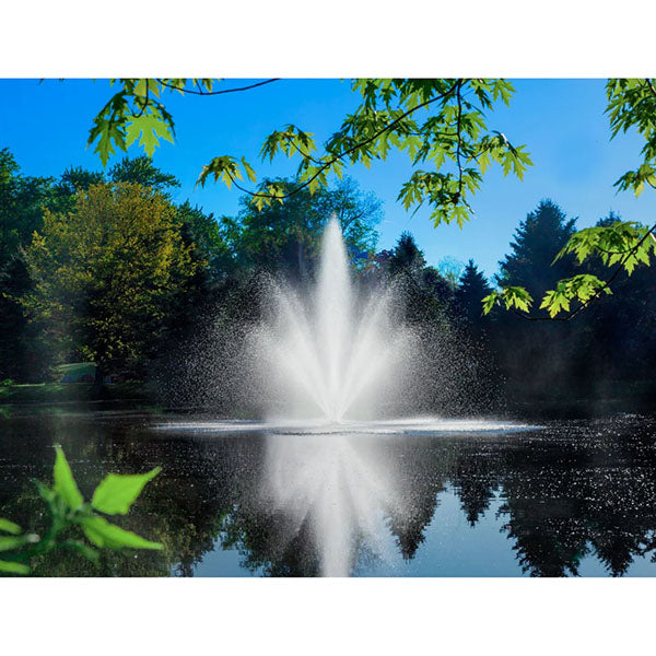 Scott Aerator Cambridge Fountain 3/4 Hp 115v 150 Ft 10-2