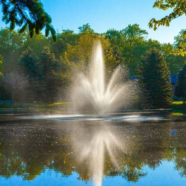 Scott Aerator Cambridge Fountain 3/4 Hp 115v 150 Ft 10-2