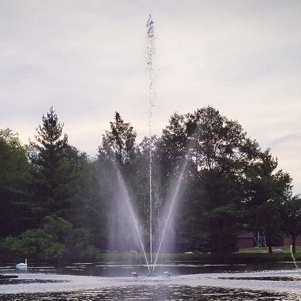 Clover Fountain 1½ hp 230 V 100 ft