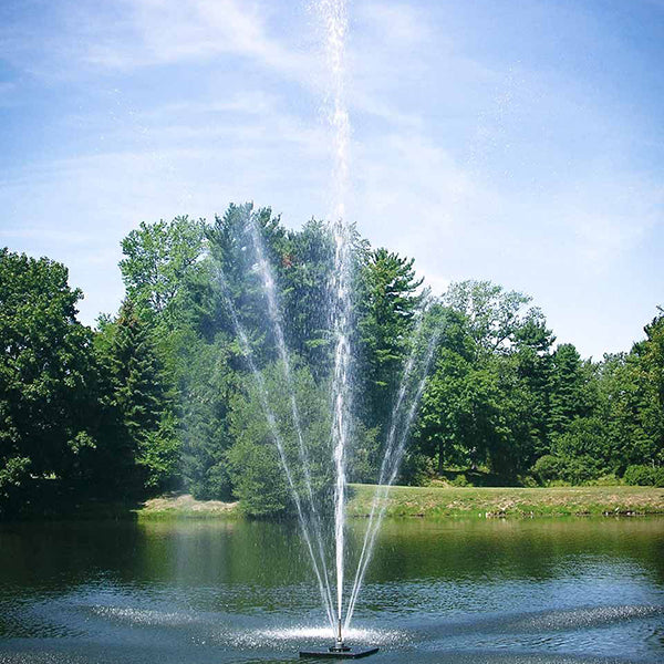 Clover Fountain 1½ hp 230 V 100 ft