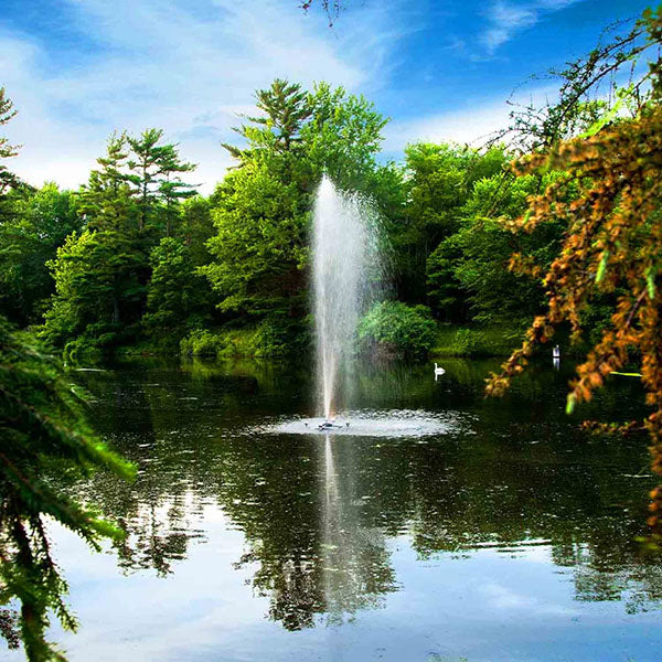 Scott Aerator Great Lakes Fountain 2 Hp 230v 200 Ft 10-3