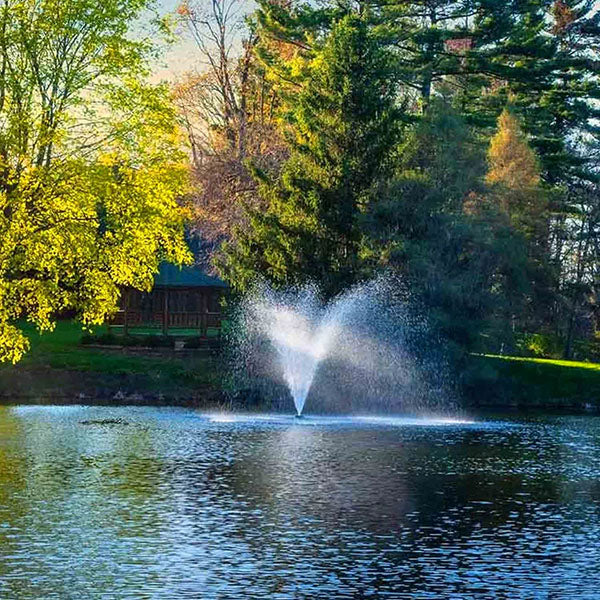Scott Aerator Great Lakes Fountain 3 Hp 230v 150 Ft 10-3