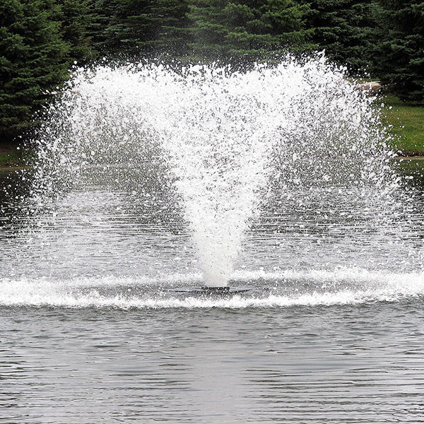 North Star Fountain 3 hp 230V 100 ft 10G