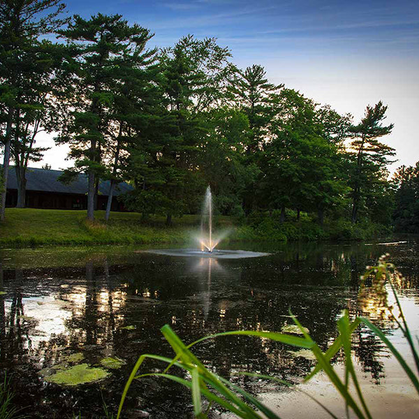 Skyward Fountain ½ hp 70 ft