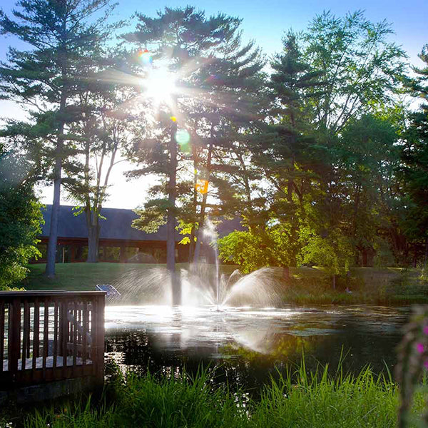 Skyward Fountain ½ hp 70 ft