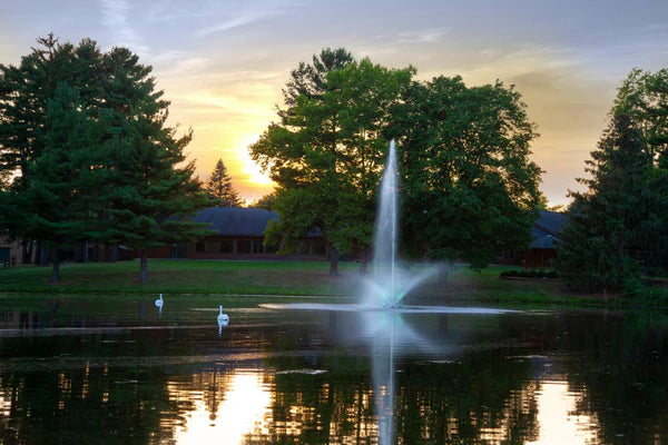 Scott Aerator Skyward Fountain For Medium Residential Ponds