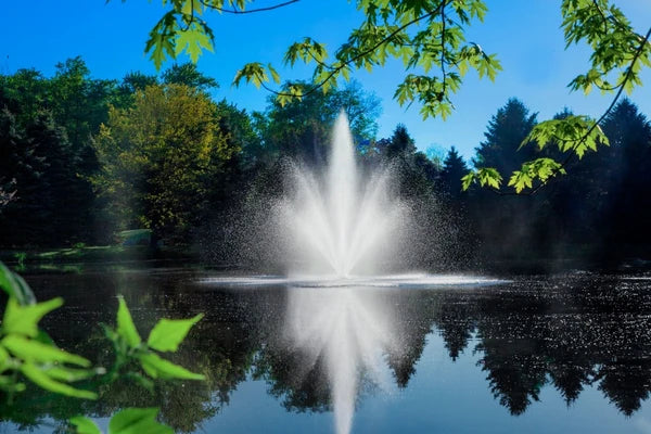 Scott Aerator Great Lakes Fountain For Small Residential Ponds