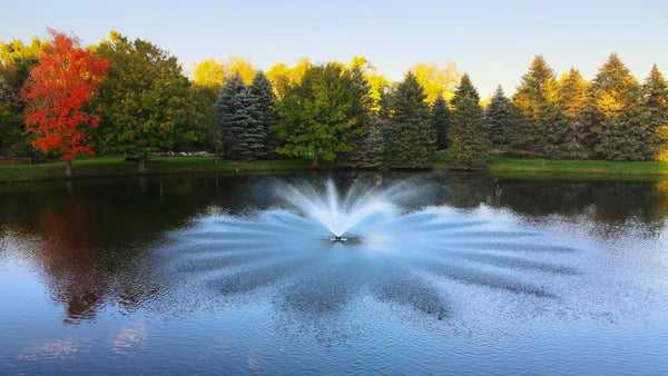 Scott Aerator Great Lakes Fountain For Small Residential Ponds