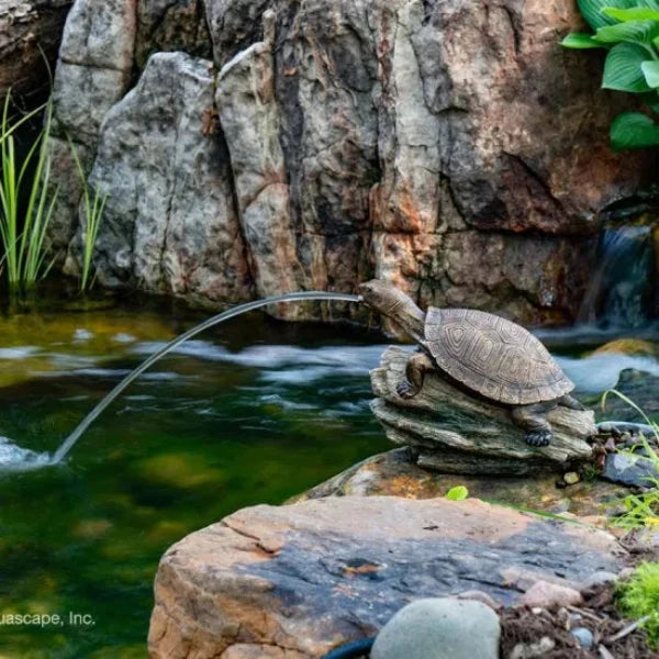 Aquascape Turtle on Log Spitter