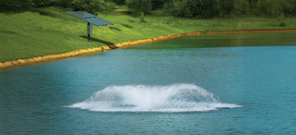 EasyPro Outdoor Water Solutions Aquarian Solar Surface Aerator