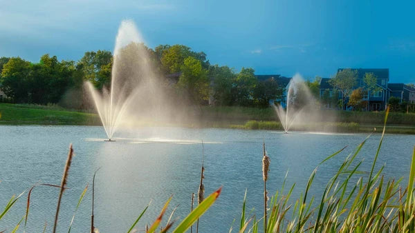 Scott Aerator Atriarch Fountain For Small Residential Ponds