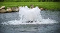 Scott Aerator Boilermaker for Medium Residential Ponds