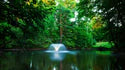 Scott Aerator DA-20 Display Aerator for Small Residential Ponds