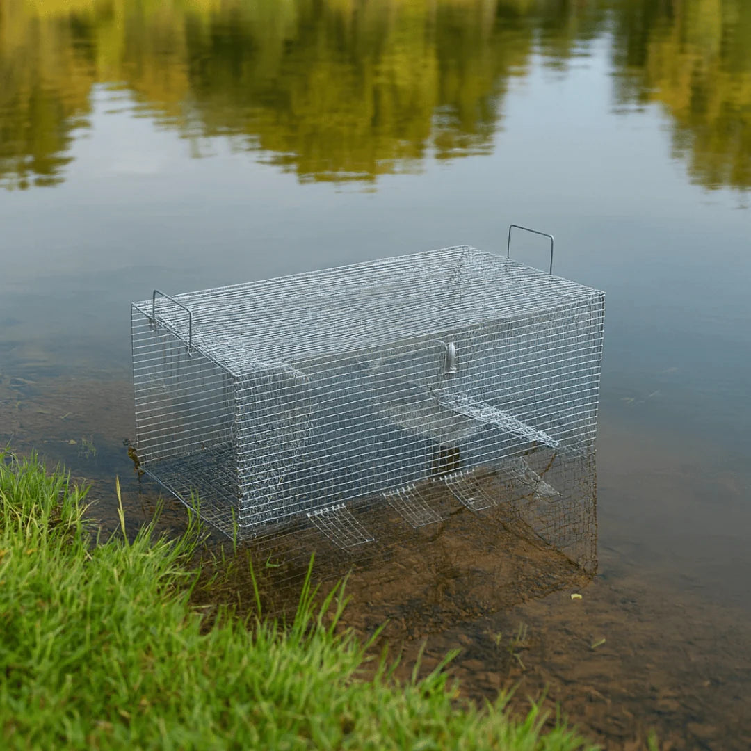 Outdoor Water Solutions Pond Fish Trap For Perch and Baitfish