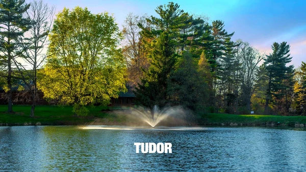 Scott Aerator Great Lakes Fountain For Medium Residential Ponds