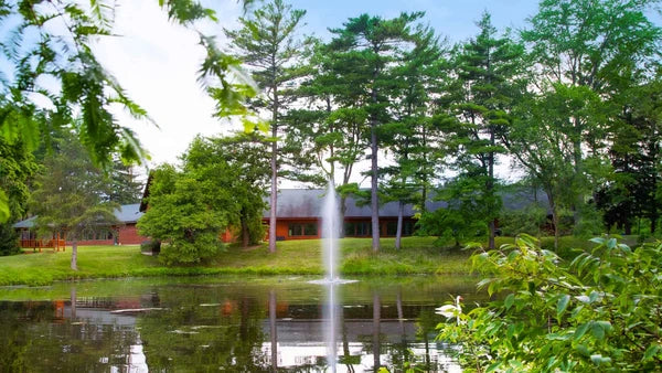 Scott Aerator Gusher Fountain For Small Residential Ponds
