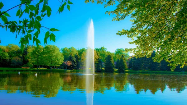 Scott Aerator Gusher Fountain For Large Commercial Ponds