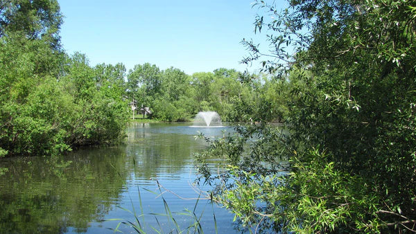 Scott Aerator North Star Fountain Aerator for Medium Residential Ponds