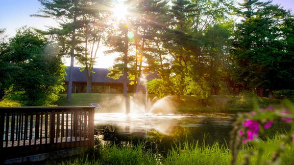 Scott Aerator Skyward Fountain For Small Residential Ponds