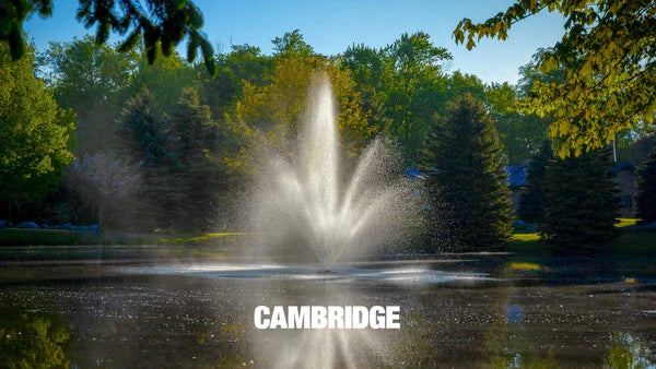 Scott Aerator Triad Fountain For Medium Residential Ponds